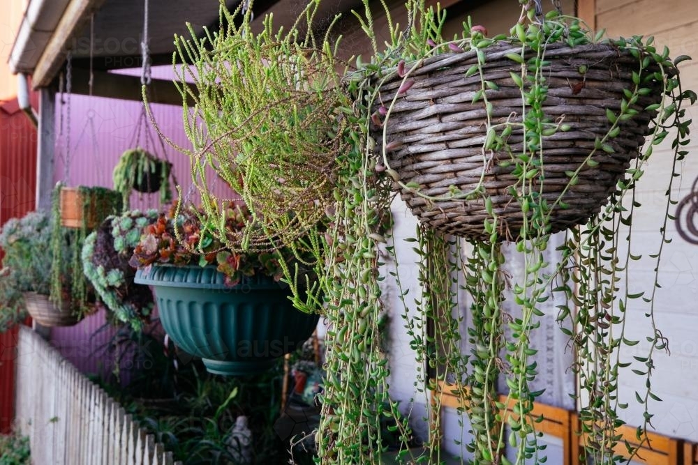 Image of Verandah with potted hanging basket and plants Austockphoto