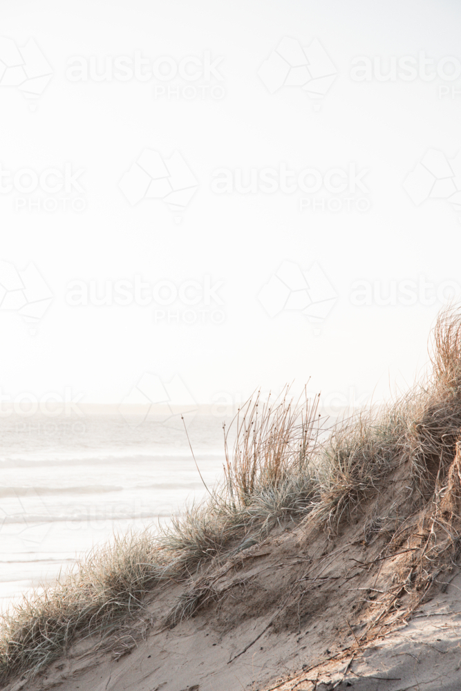 Vertical image of sand dune and grasses with ocean in background at sunset - Australian Stock Image
