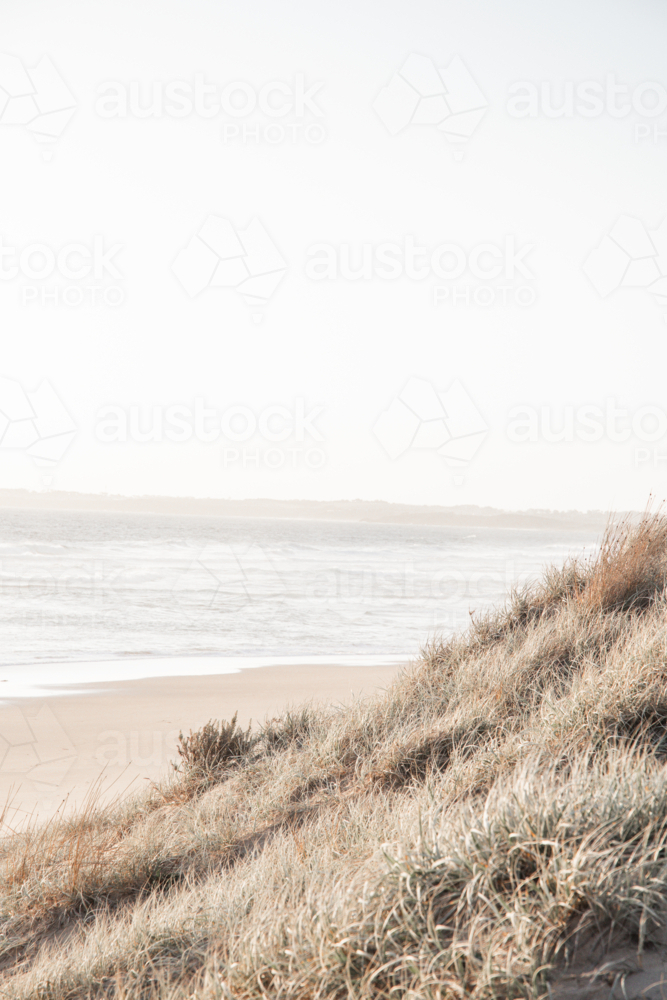 Vertical image of sand dune and grasses with ocean in background at sunset - Australian Stock Image