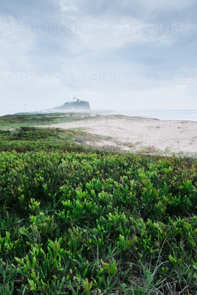 vertical shot of a misty remote beach park with shrubs and white sand on a cloudy day - Australian Stock Image