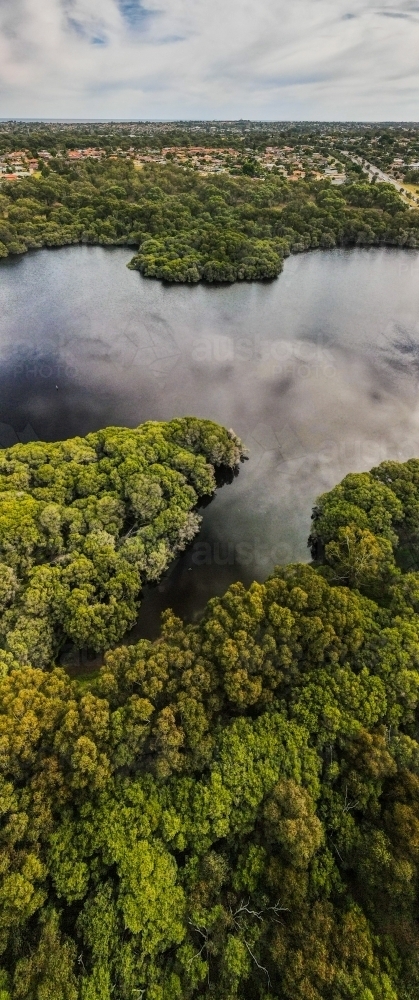 vertical shot of an island with green trees and bushes beside a river - Australian Stock Image