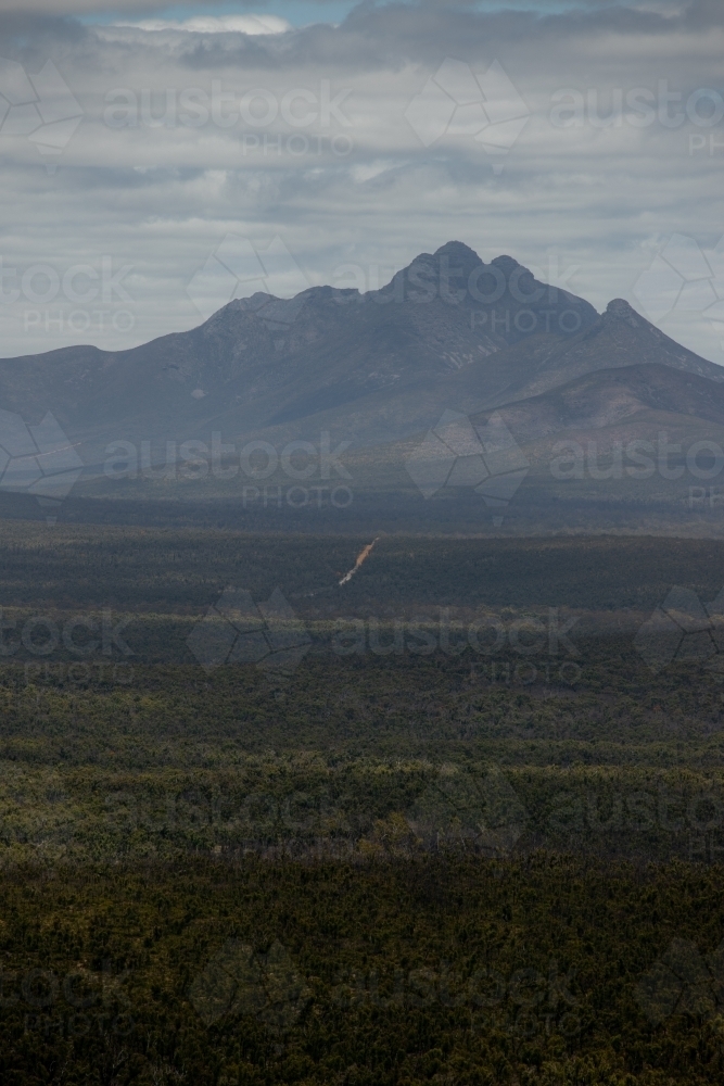 vertical shot of an outback with grass, bushes, and mountain on a gloomy day - Australian Stock Image