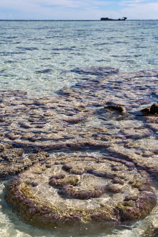 Vertical shot of coral reef at low tide with a ship in the background - Australian Stock Image