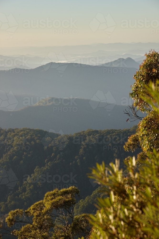 Vertical shot of mountains and trees on a misty day - Australian Stock Image