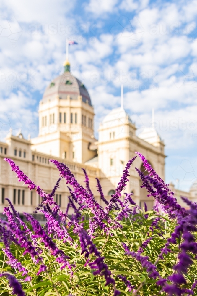 vertical shot  of purple plant and a museum under a blue cloudy sky - Australian Stock Image
