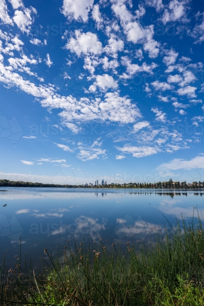 vertical shot of river on a sunny day with buildings reflected by the water and grass in front - Australian Stock Image