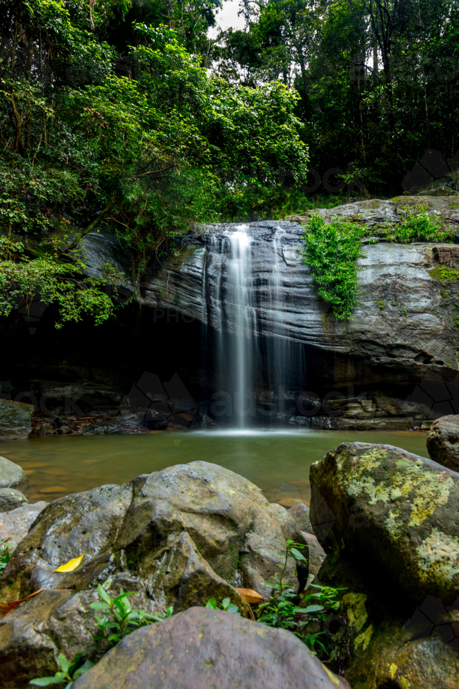 Vertical view of waterfall over a rock into a small creek surrounded by rainforest - Australian Stock Image