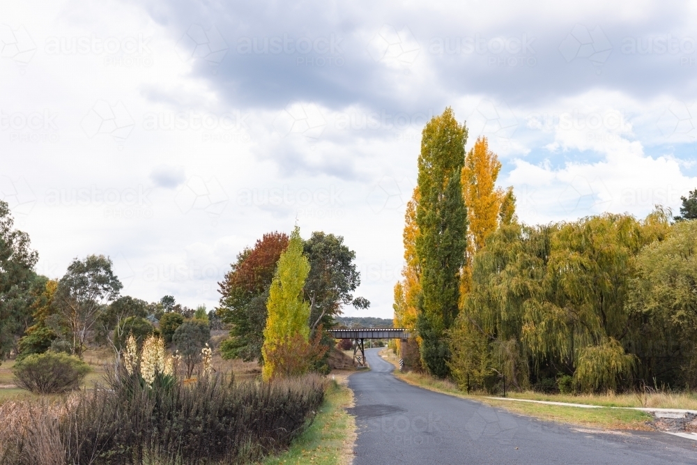 Vibrant Autumn foliage at Uralla in the New South Wales Northern Tablelands - Australian Stock Image