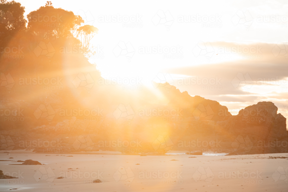 Vibrant morning sunshine beaming past Hedgehog Island at Seal Rocks - Australian Stock Image