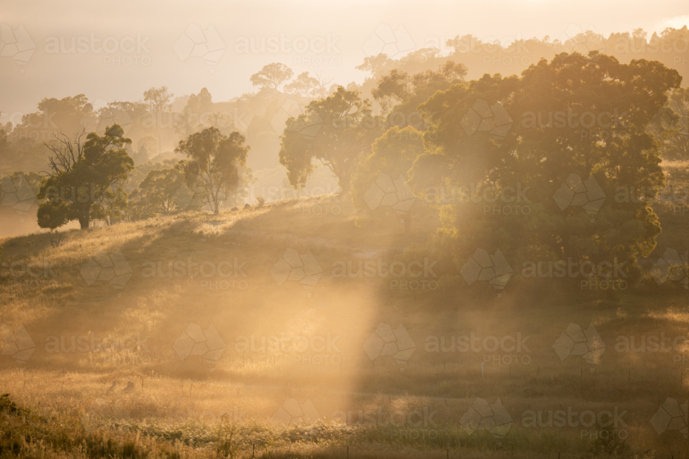 Vibrant morning sunshine illuminating a dusty dirt road - Australian Stock Image