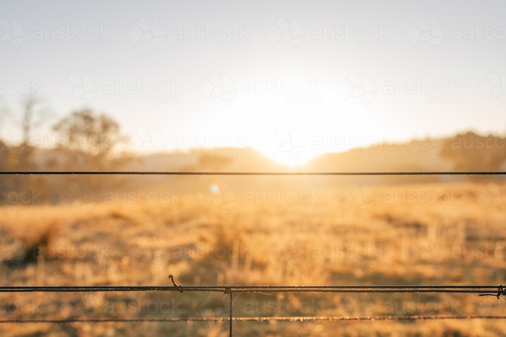 Vibrant sunlight emerging from behind distant hills at sunrise visible through farm fence - Australian Stock Image