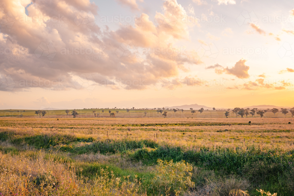 Vibrant sunset over paddocks in the outskirts of Tamworth, NSW - Australian Stock Image