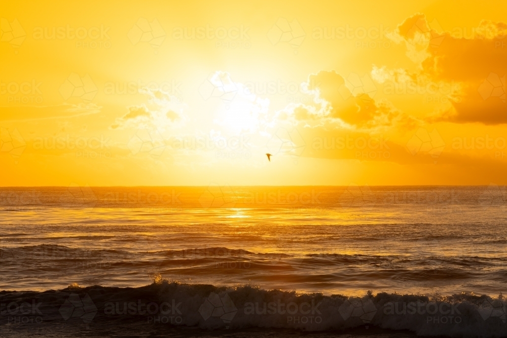 Image of Vibrant yellow sunrise over the ocean at Brunswick Heads, NSW ...