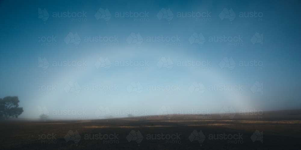 View across a paddock on a misty morning with a rainbow effect - Australian Stock Image