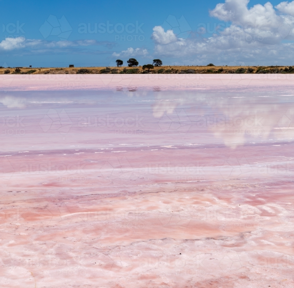 view across bed of pink salt lake - Australian Stock Image