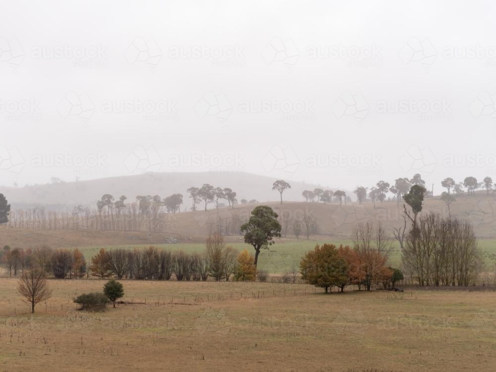 View across farmland of autumn trees and misty mountains - Australian Stock Image