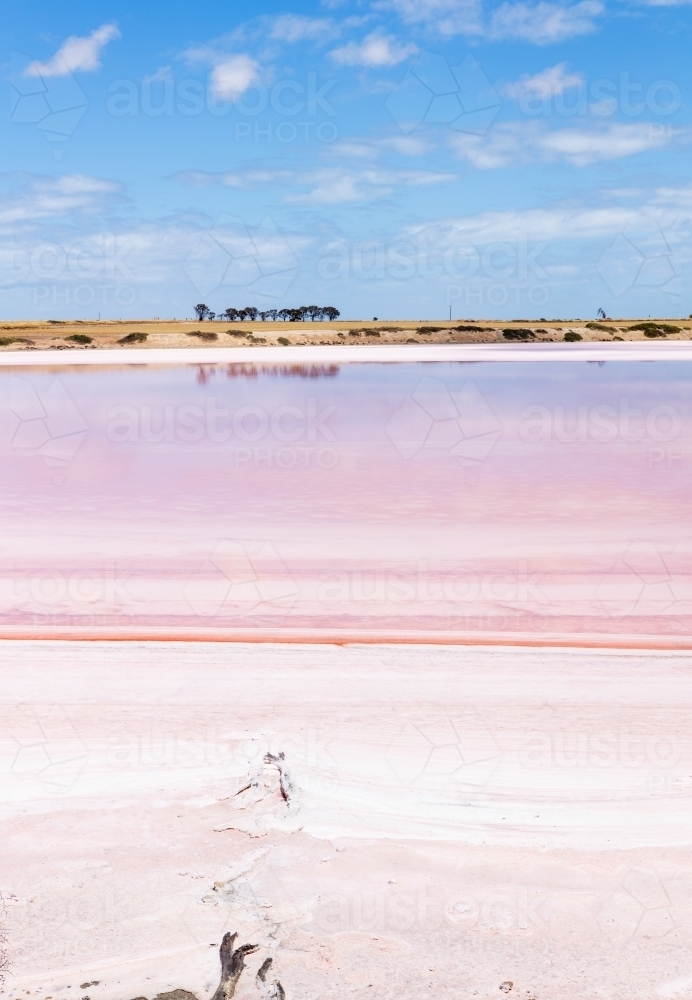 view across pink salt lake - Australian Stock Image