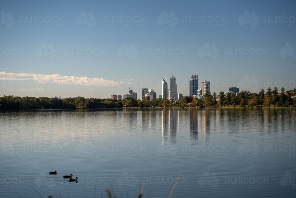 View across Swan River of Perth cityscape with ducks in the foreground - Australian Stock Image