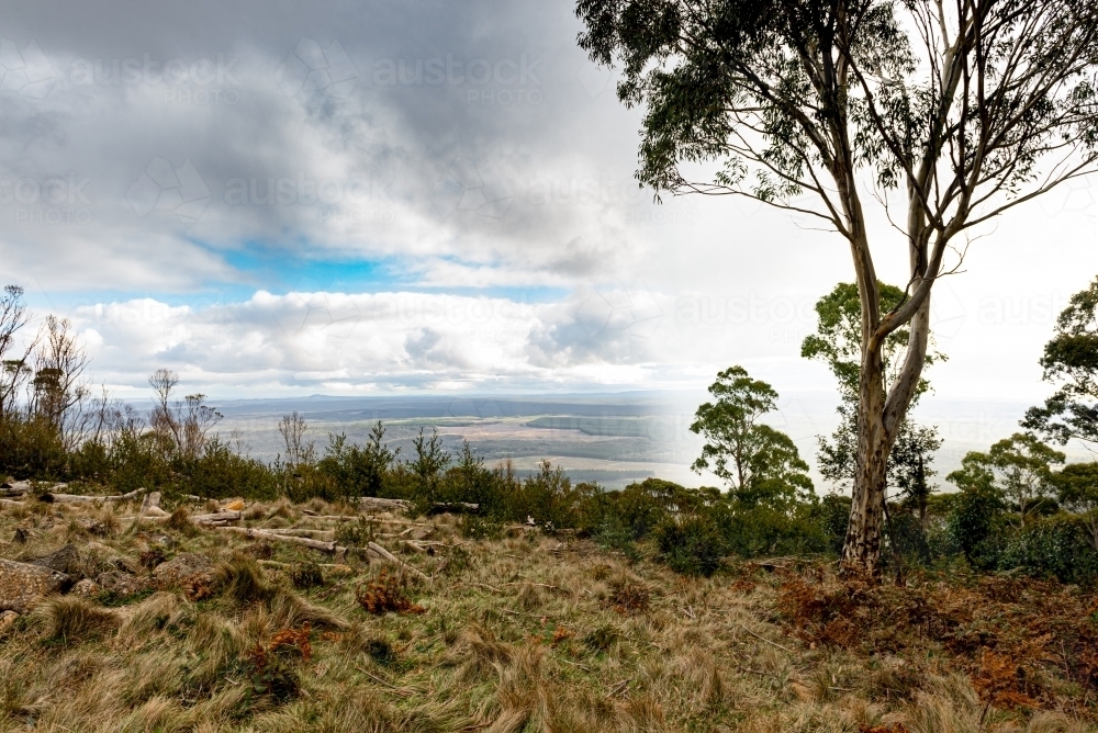 View amongst the clouds on the top of Mount Macedon - Australian Stock Image