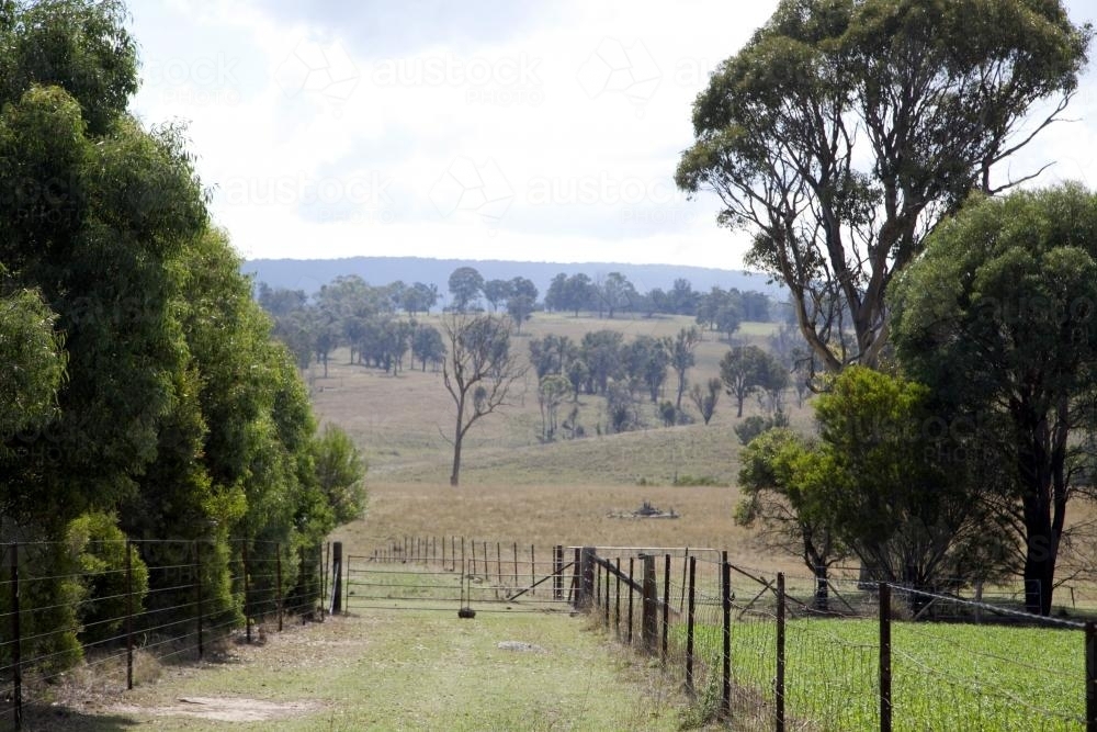 View down the fenceline and into the distance on a rural farm - Australian Stock Image