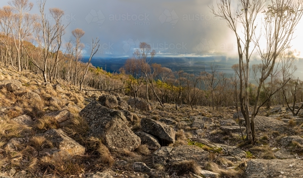 View from the top of Mount Macedon - Australian Stock Image