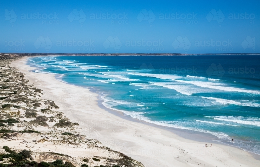 view looking over long white beach under cloudless blue sky - Australian Stock Image