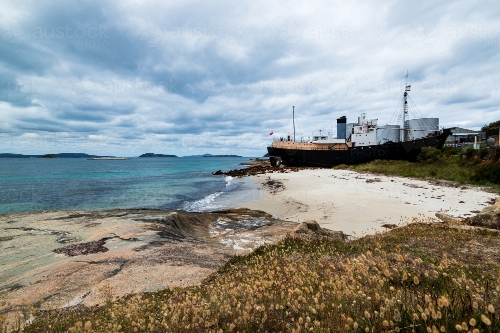 View of beached old whaling boat with sand beach and massed seed heads in foreground. - Australian Stock Image