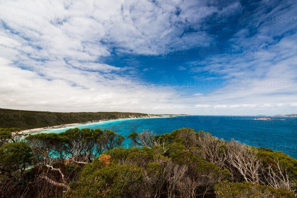 View of coastline with windswept trees in foreground and dramatic polarised sky - Australian Stock Image