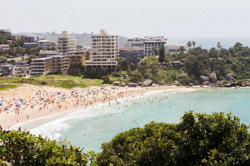 View of Freshwater Beach from high on the hill in Sydney - Australian Stock Image