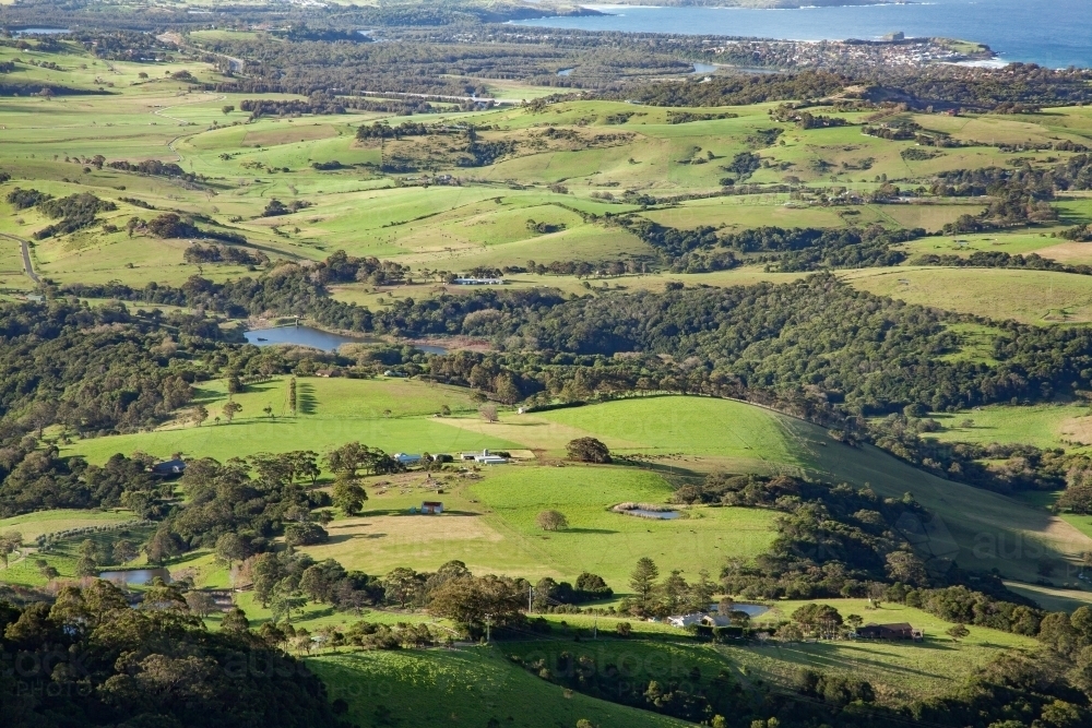 View of green farm paddocks in the Illawarra - Australian Stock Image