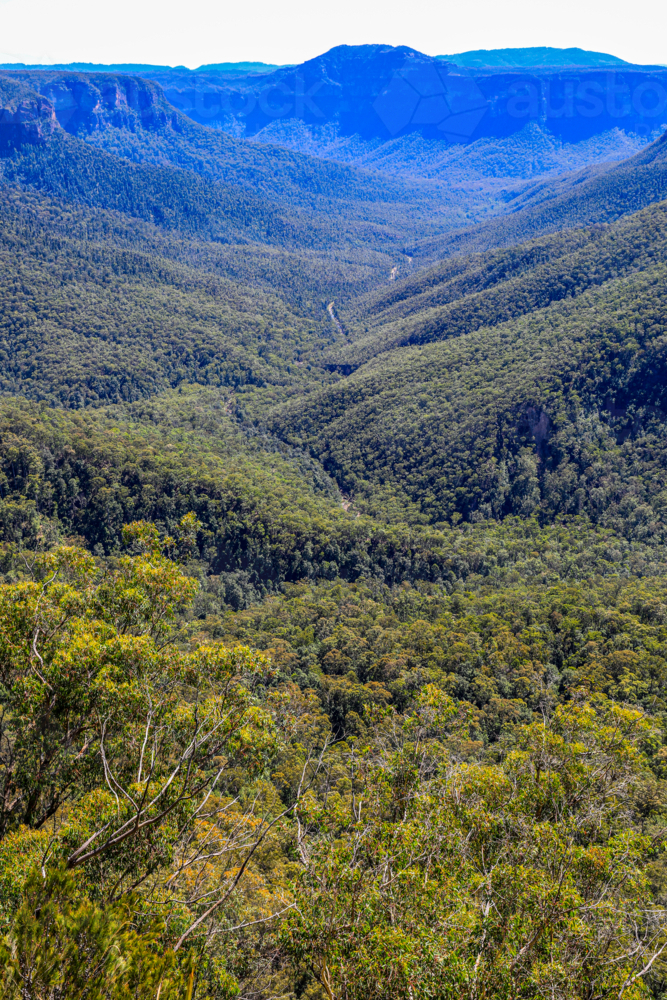 View of Grose Valley from Evans Lookout in the Blue Mountains - Australian Stock Image
