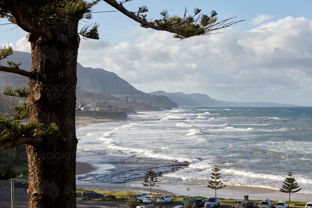 View of hoop pine tree in foreground with surf beach, mountains and coastline behind - Australian Stock Image