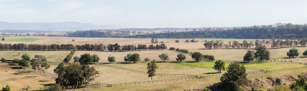 View of horse stud farm paddocks - Australian Stock Image