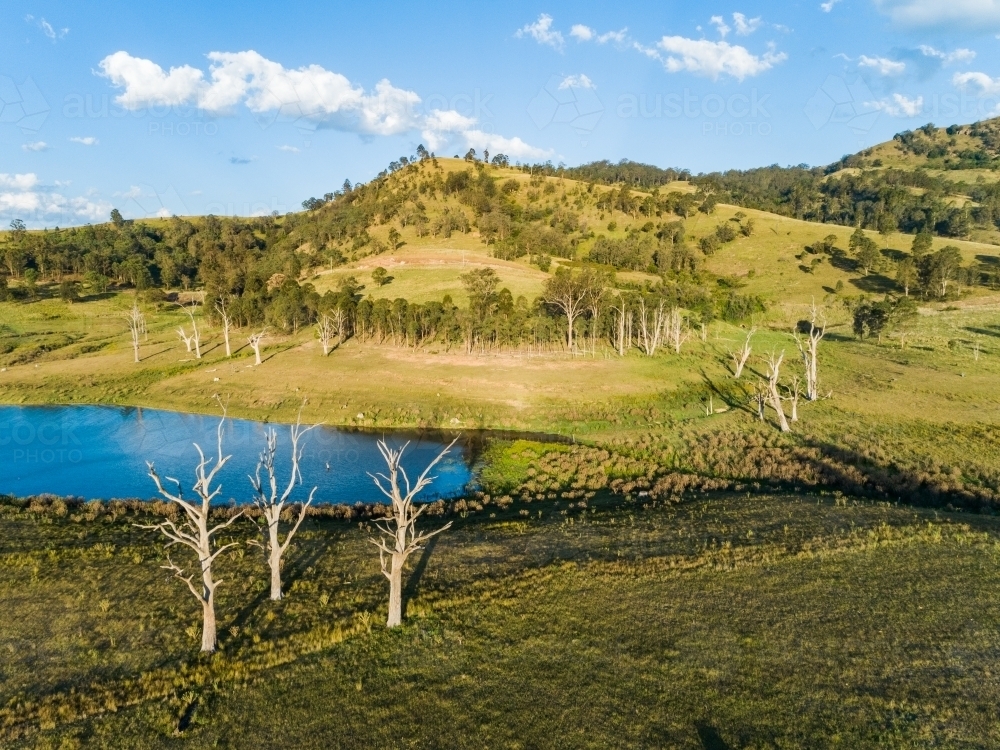 View of Lake St Clair and three dead trees in the Hunter valley NSW Australia - Australian Stock Image