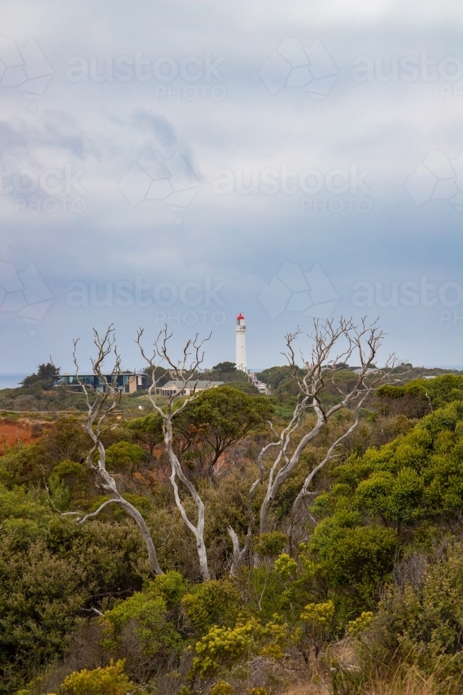 View of lighthouse through woody shrub - Australian Stock Image