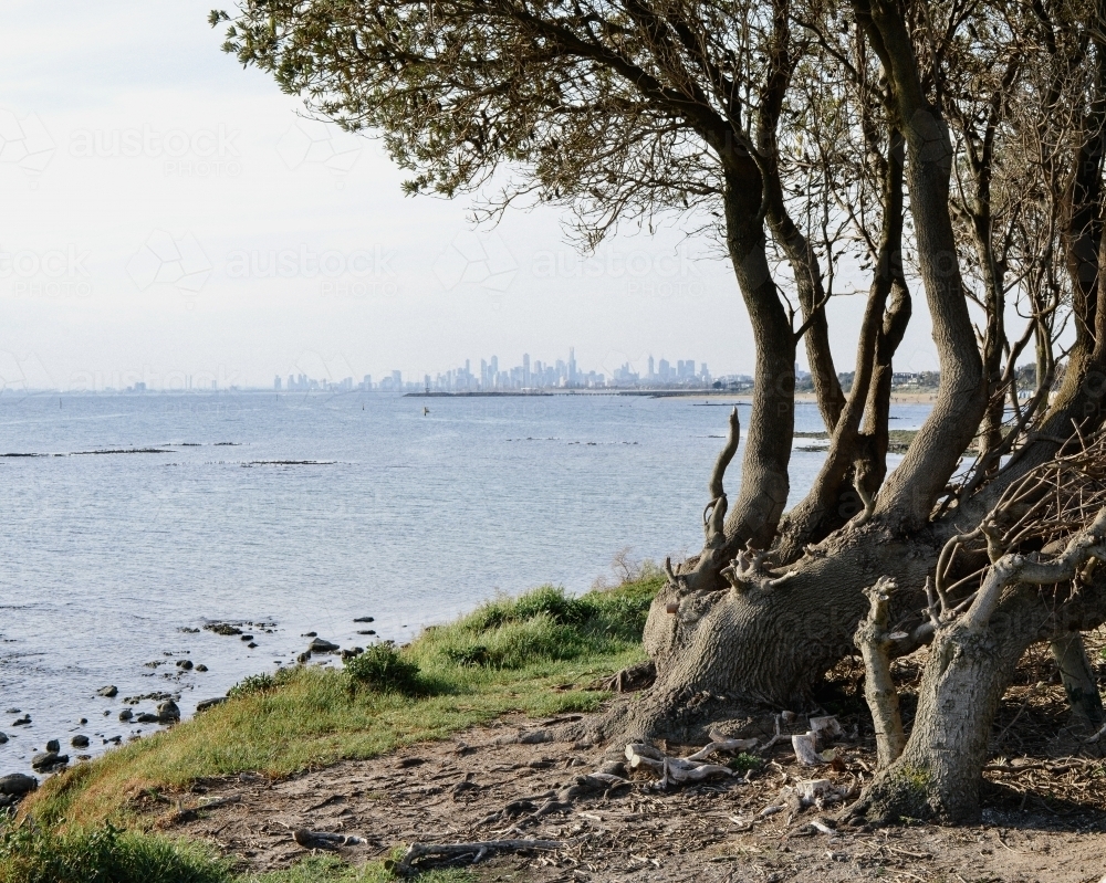 View of Melbourne city skyline from Brighton - Australian Stock Image