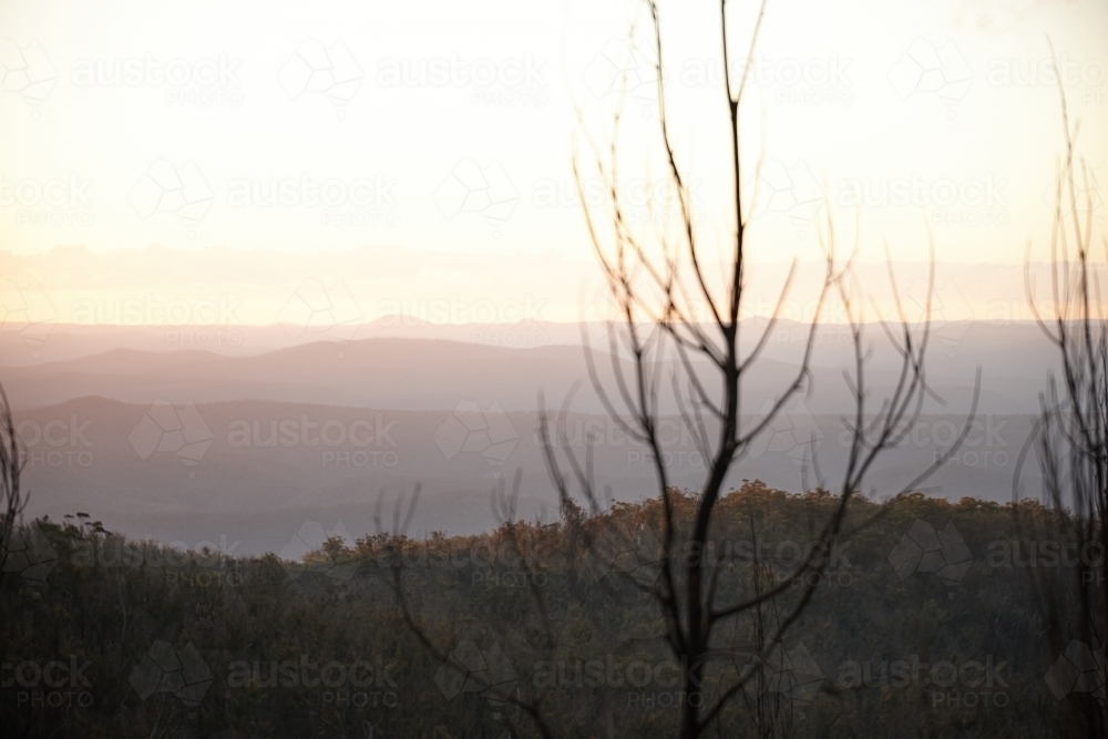 View of mountains and forest regrowth after bushfire - Australian Stock Image