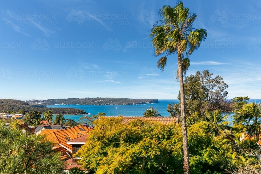 View of North Head over rooftops - Australian Stock Image