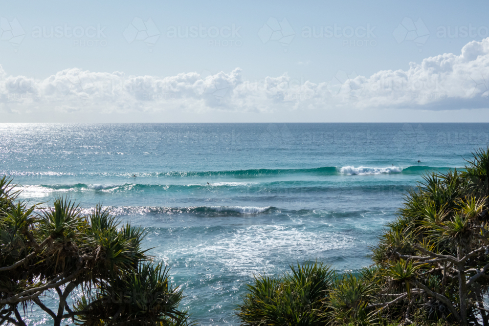 View of ocean waves over pandanas palm - Australian Stock Image