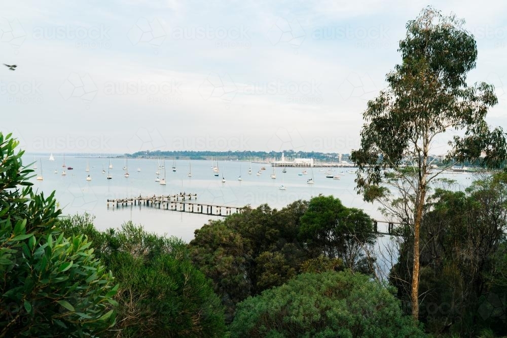 View of pier and bay through trees - Australian Stock Image