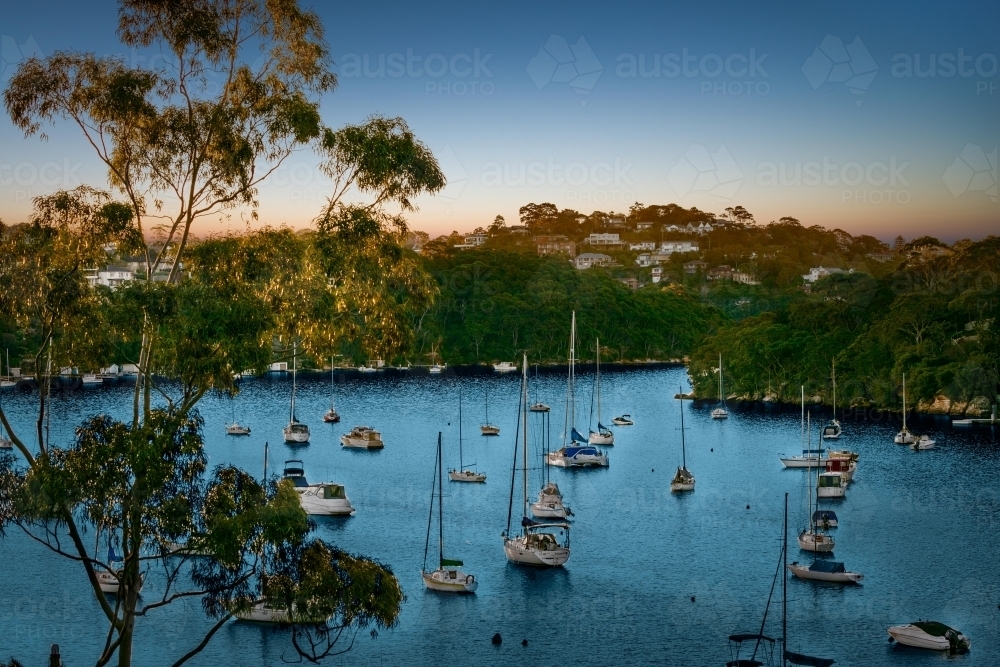 View of Sydney harbour at dusk - Australian Stock Image