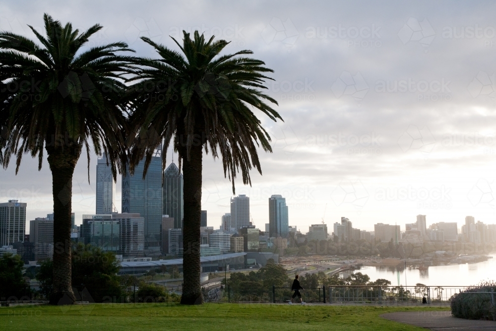 View of the Perth skyline from Perth Botanic Gardens - Australian Stock Image