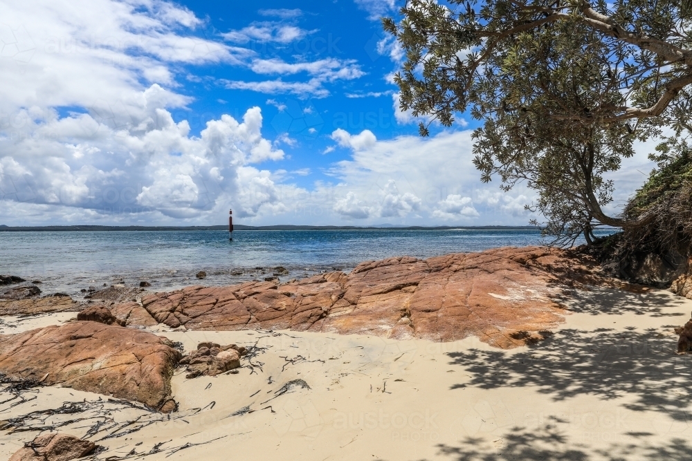 View of tree hanging over rocky coastline against cloudy blue sky - Australian Stock Image