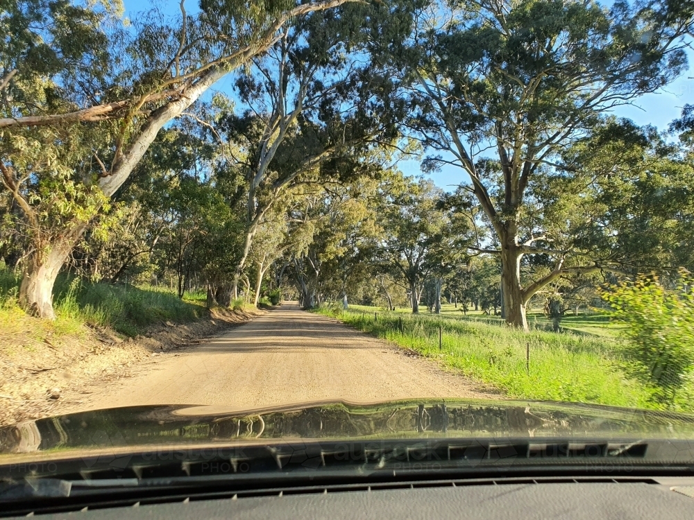view of tree lined country road from inside vehicle - Australian Stock Image