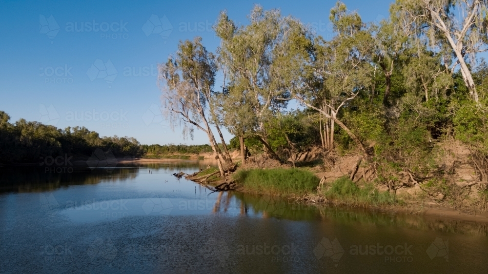View of trees on the riverside - Australian Stock Image