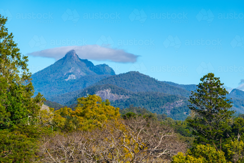 View of Wollumbin (Mount Warning) near Murwillumbah, northern New South Wales - Australian Stock Image