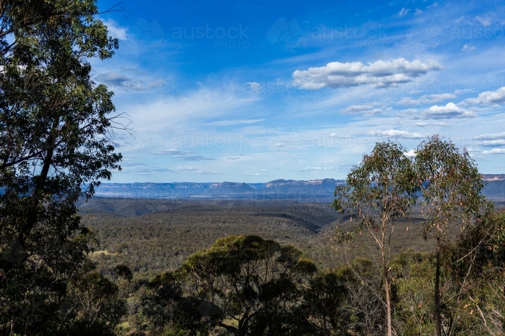 View over Capertee valley through eucalyptus trees on sunlit day - Australian Stock Image