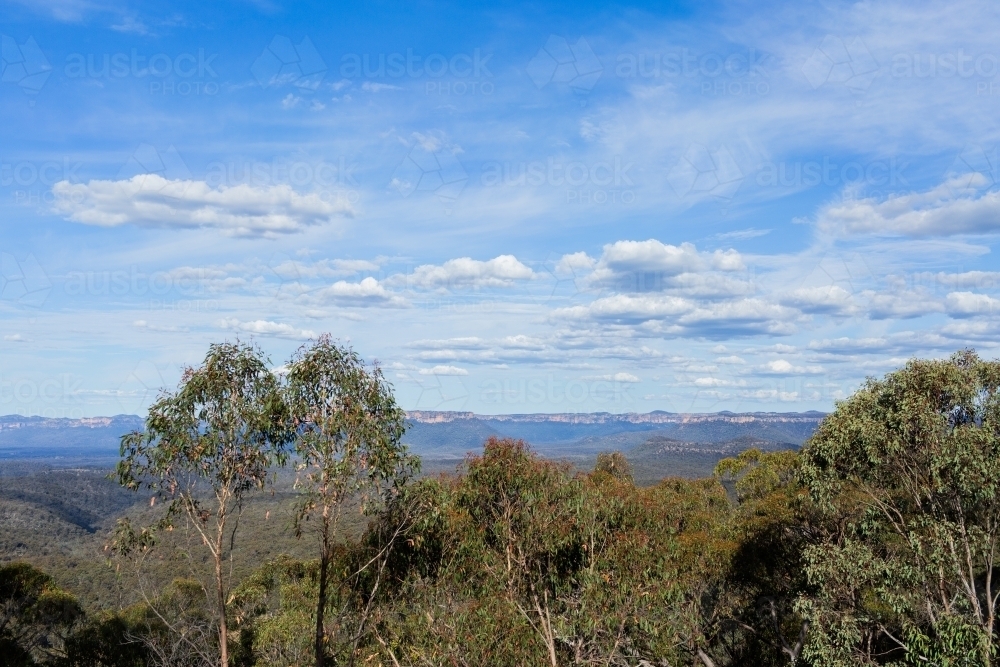 Image of View over Capertee valley through eucalyptus treetops in ...