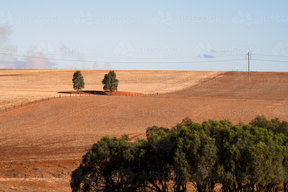 View over dry brown fields, near Clare, South Australia - Australian Stock Image