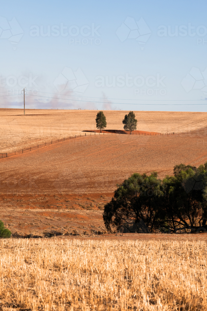 View over dry brown fields, near Clare, South Australia - Australian Stock Image